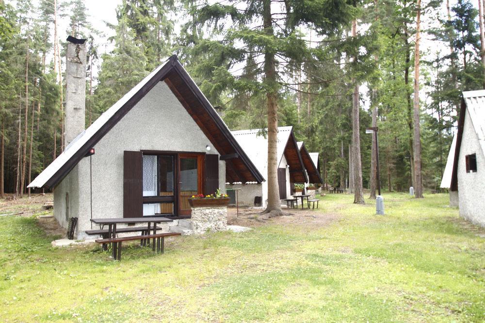 Rekreacni Areal Adamec Hotel Ledenice Bagian luar foto